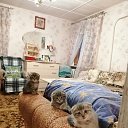 ���� ����, ������ - ��������� 31 ������ 2020 � ������ ���� ����������