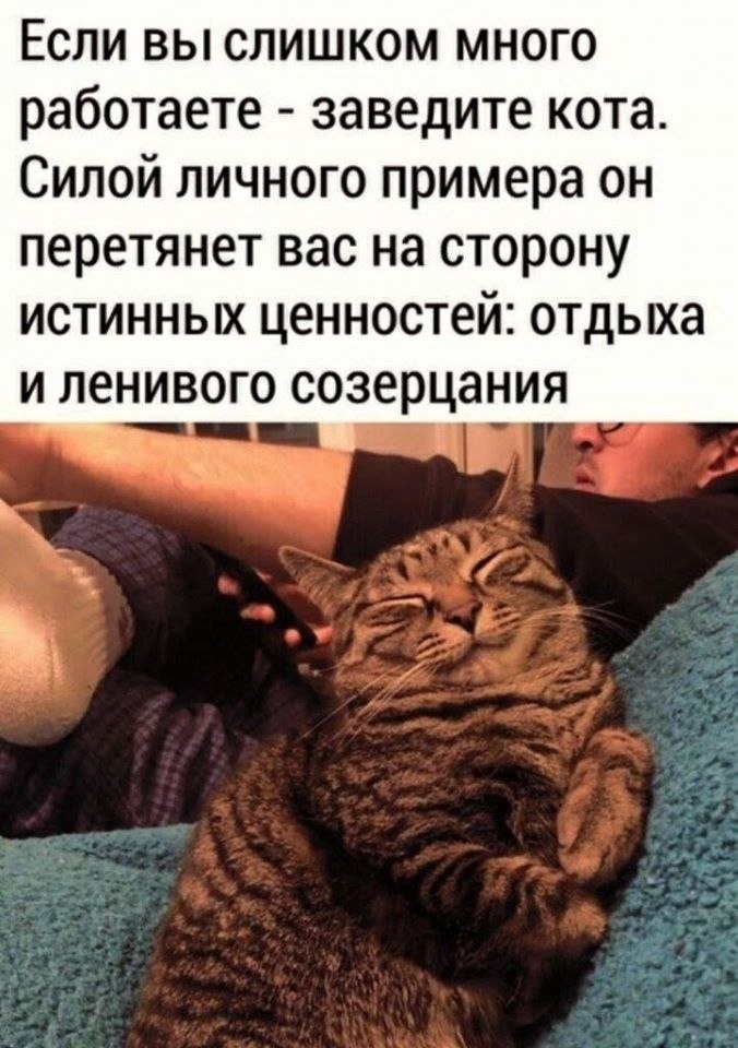 Станет самым богатым человеком на кладбище. Если много работать то. Шутки про работу. Много работать вредно. Приколы в офисе.