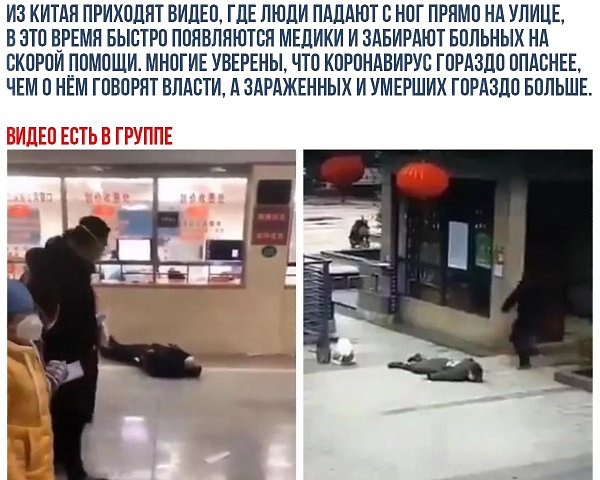    - 24  2020  18:55