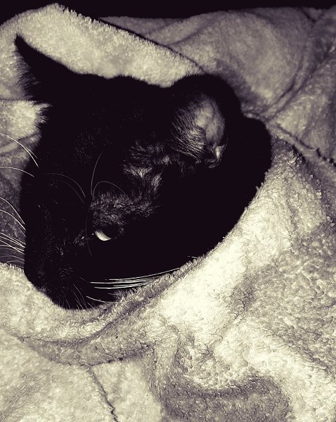 ������� ����...