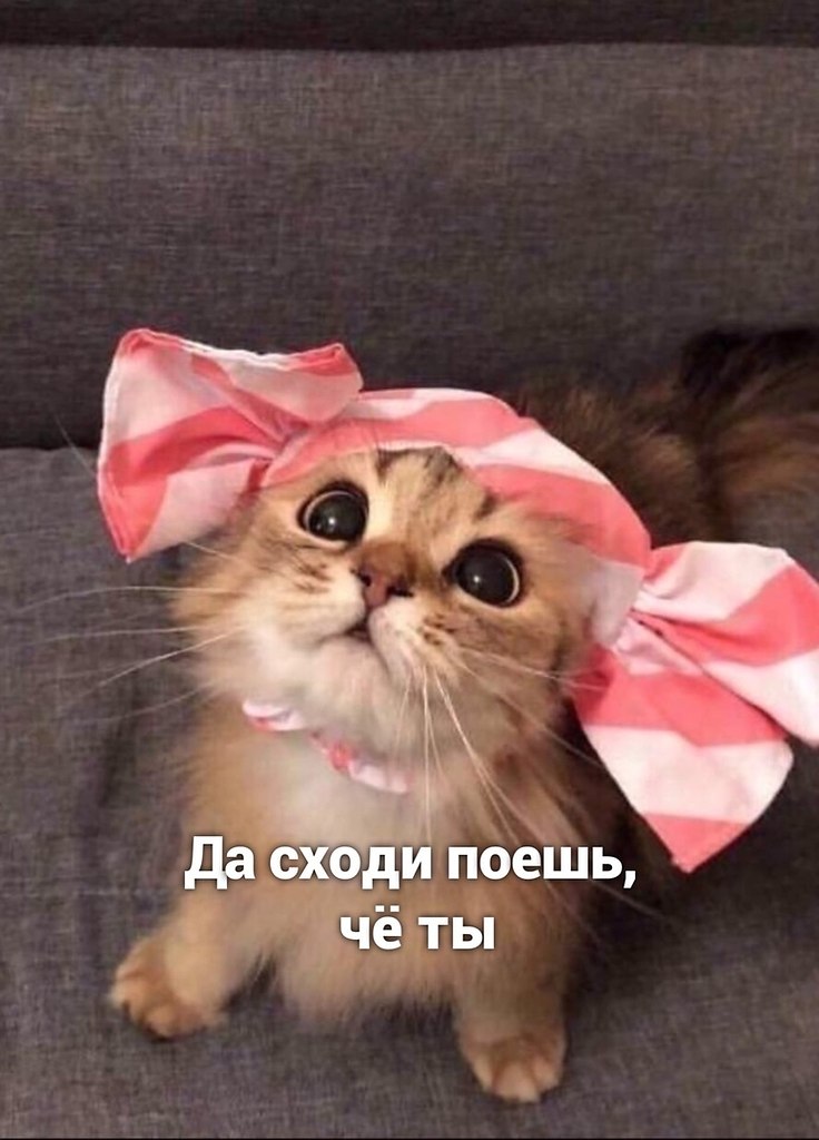   ,         ! - 2