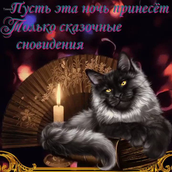   ,    . - 18  2020  21:03