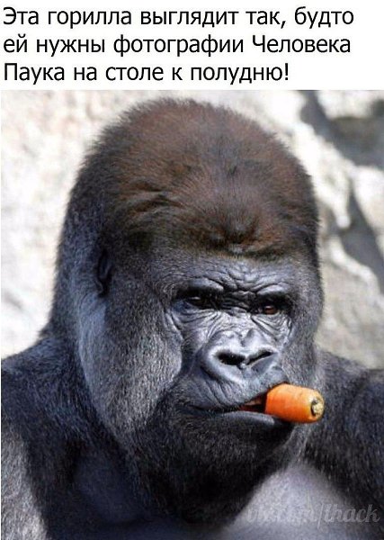 ������� - 10 ������ 2020 � 19:13