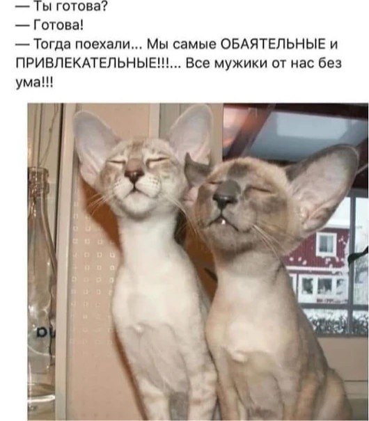  - 10  2020  19:47