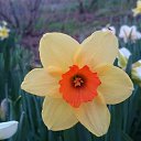  , , 41  -  23  2020      )))