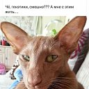 ���� ������, ������������, 39 ��� - ��������� 23 ���� 2020 � ������ ������ ��������