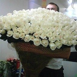 ���, �����������, 42 ����