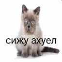 ���� Olesya, ����� - ��������� 19 ��� 2020 � ������ ���� ����������