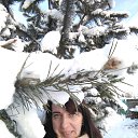 ���� ��������, �����, 49 ��� - ��������� 5 ������� 2020 � ������ ���� ����������