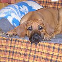 ���� ����, �������, 64 ���� - ��������� 7 ��� 2020 � ������ ���� ����������