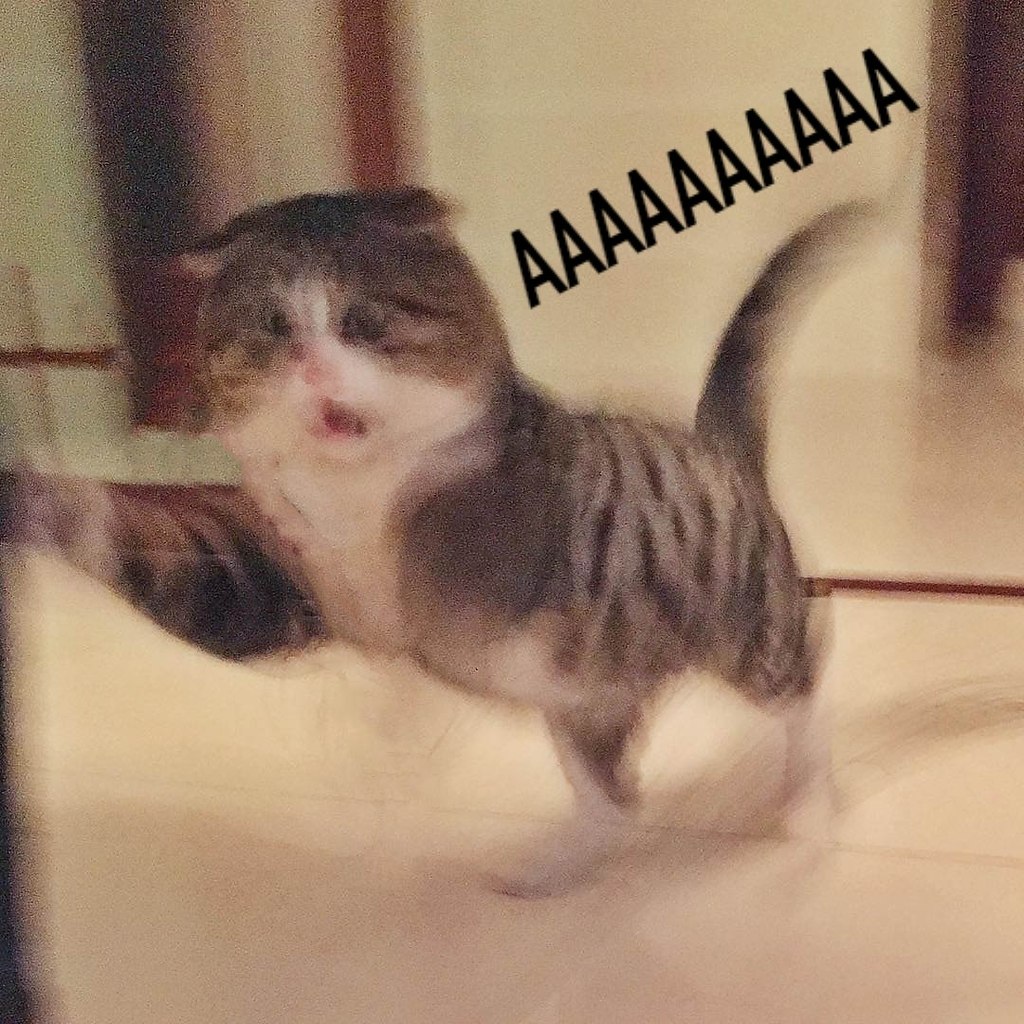     : - 4