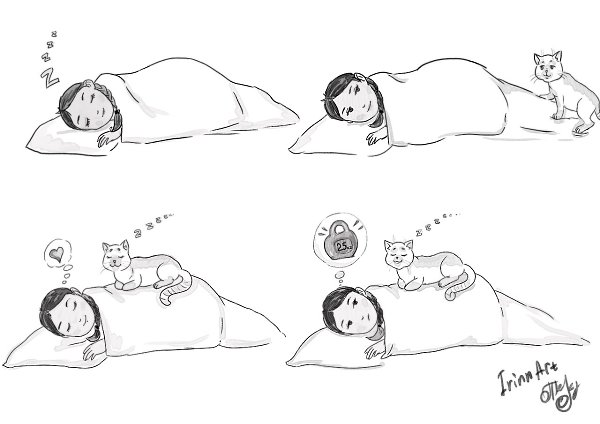 Ko )