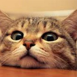 ���� �������, ��� - ��������� 10 ������ 2020