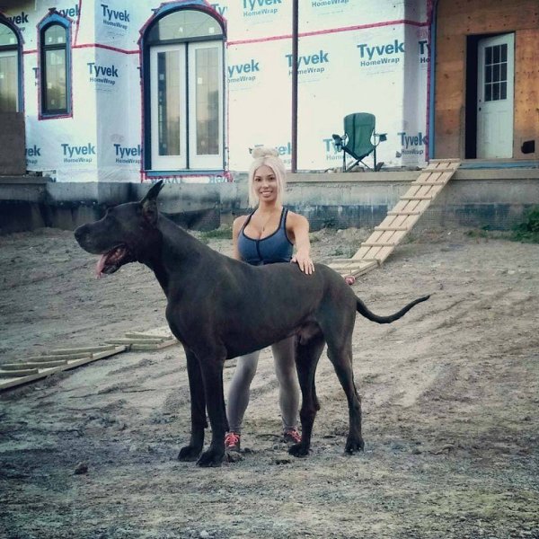     ..   95 !) - 3