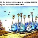 ���� �������, �������� - ��������� 10 ������ 2020 � ������ ���� ����������