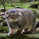 ���� Lara, ������� - ��������� 20 ����� 2020 � ������ �������