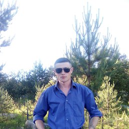 ���������, ������, 41 ���