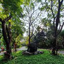 ���� ���������, ������, 51 ��� - ��������� 11 ������� 2020 � ������ ���� ����������