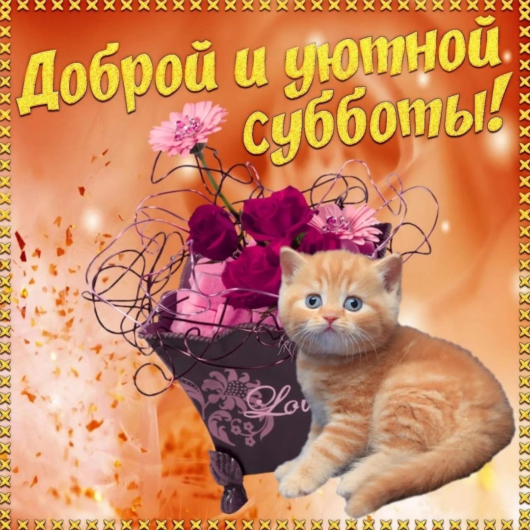   - 11  2020  12:46