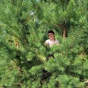 ���� ������, ��������, 44 ���� - ��������� 31 ����� 2020 � ������ ���� ����������