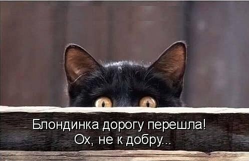 При всей моей неистовой любви к брюнеткам, шатенкам, рыжим и лысым, сегодня спешу поздравить самую ... - 9