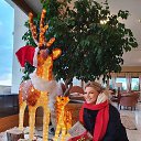 ���� ��������, �������� - ��������� 10 ������� 2020 � ������ ���� ����������