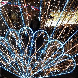 ����������, ������, 51 ���