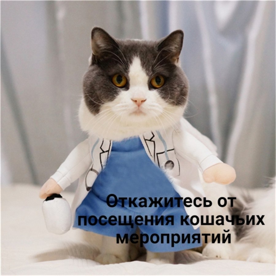    ) - 4