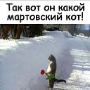���� ��������, ����������, 43 ���� - ��������� 15 ����� 2020 � ������ ���� ����������