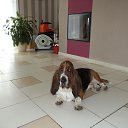 ���� ������, ��������� - ��������� 15 ������ 2020 � ������ ������ ��������