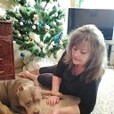 ���� �������, ����� - ��������� 7 ������� 2020 � ������ ���� ����������