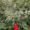 ���� ��������, �����-���������, 56 ��� - ��������� 4 ���� 2020 � ������ ���� ����������