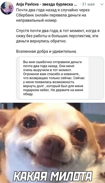 )