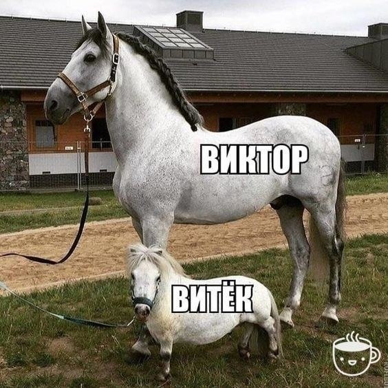    -,     .))
