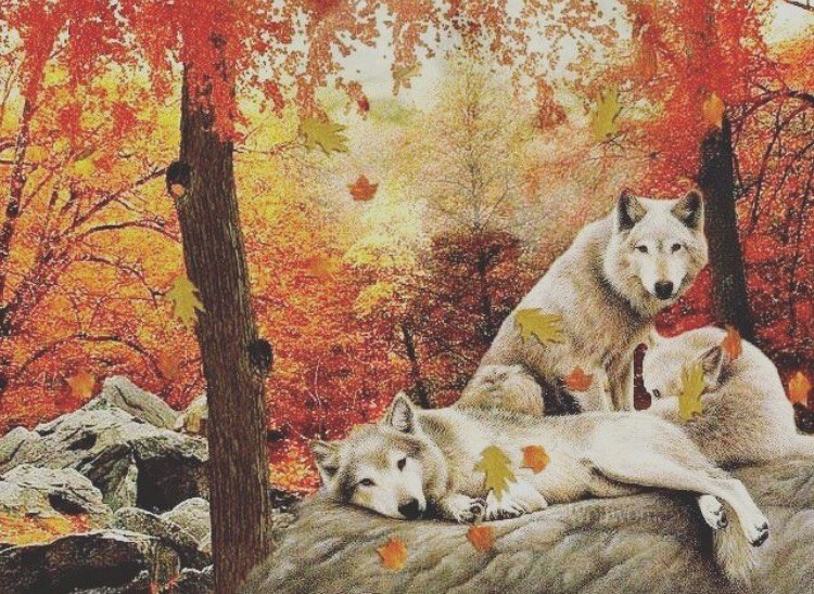 0 u  ,     n,       .