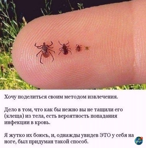e e aa, oo o oe aa: - 2