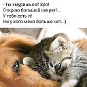 ���� �����, �����-��������� - ��������� 3 ������ 2020 � ������ ������ ��������