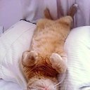 ����� ����������? ��� � ��� �������. �� ������� ���� ����������