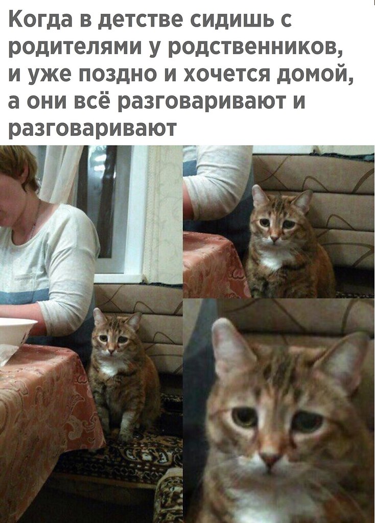   - 30  2020  20:48