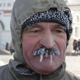 �����, ������, 39 ���