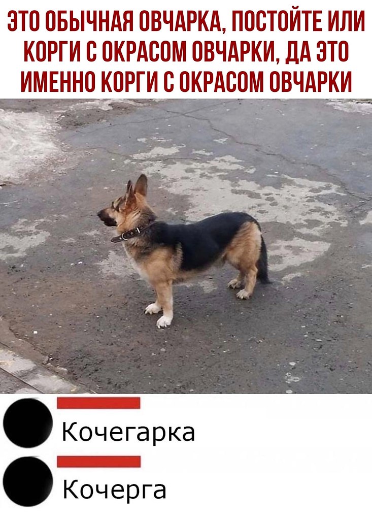  - 18  2020  20:17