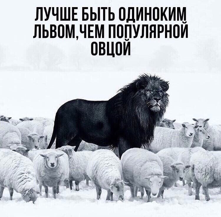     - 31  2020  19:10