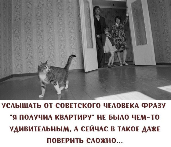   ! - 14  2020  22:31