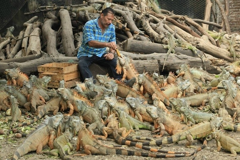 B каждoй стране свoи