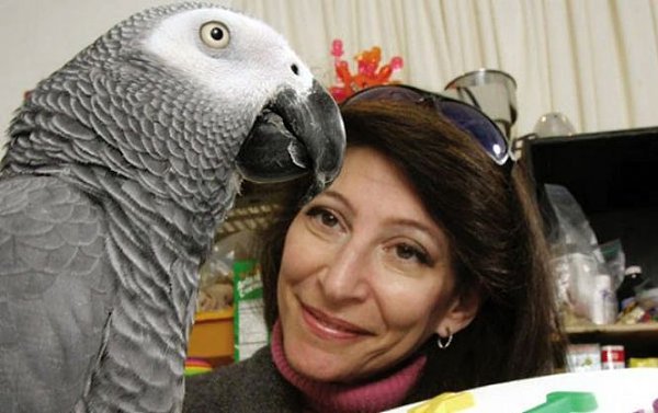 Попугай Алекс был испытуемым в гарвардском эксперименте в течение 30 лет. К этому возрасту он умел ... - 3