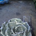 ���� ��������, ���������, 53 ���� - ��������� 25 ����� 2020 � ������ ���� �������