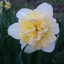  , , 41  -  23  2020      )))