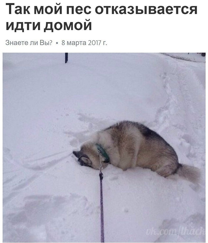  - 16  2020  20:20