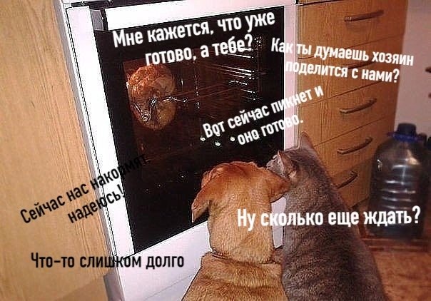       - 10  2020  18:41