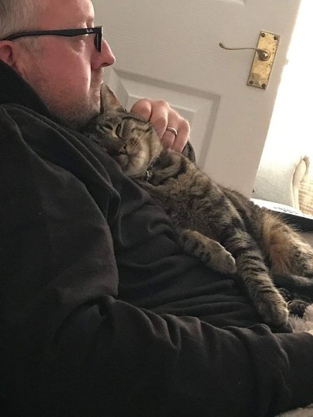 Стадии принятия кота отцом: 1. Я НЕ ПОТЕРПЛЮ КОТА В НАШЕМ ДОМЕ! 2. Он бесит, но пусть живёт, раз ... - 6